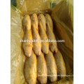 Good quality frozen fish yellow croaker from China